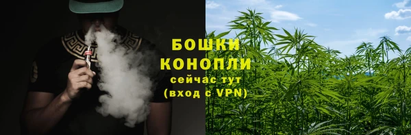 молекула духа Белоозёрский
