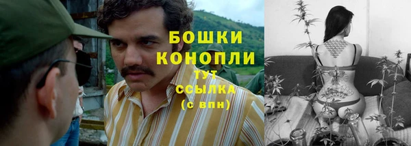 молекула духа Белоозёрский
