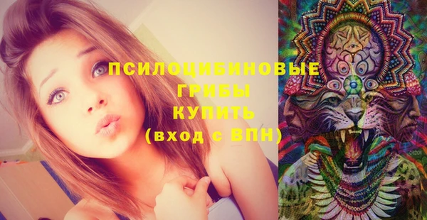 молекула духа Белоозёрский