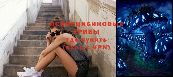 молекула духа Белоозёрский